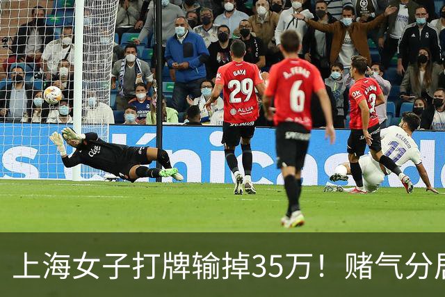 上海女子打牌输掉35万！赌气分居半年盼道歉，最后直接家散人离